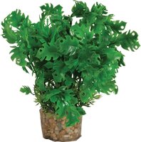 Zolux Ornament Pastic Plant Op Stenen Vrolijk Assorti 20X10X10 CM