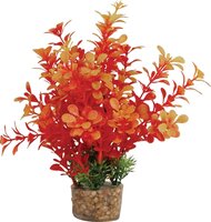 Zolux Ornament Pastic Plant Op Stenen Vrolijk Assorti 20X10X10 CM