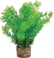 Zolux Ornament Pastic Plant Op Stenen Neutraal Assorti 20X10X10 CM