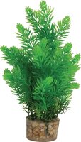 Zolux Ornament Pastic Plant Op Stenen Neutraal Assorti 20X10X10 CM