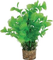Zolux Ornament Pastic Plant Op Stenen Neutraal Assorti 20X10X10 CM