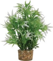 Zolux Ornament Pastic Plant Op Stenen Neutraal Assorti 20X10X10 CM