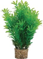 Zolux Ornament Pastic Plant Op Stenen Neutraal Assorti 20X10X10 CM