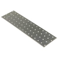 Platen geperforeerd 20 st 2 mm 300x80 mm gegalvaniseerd staal