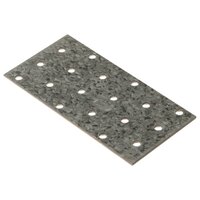 Platen geperforeerd 40 st 2 mm 120x60 mm gegalvaniseerd staal