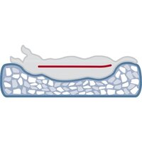 Trixie Hondenmand Vital Jonna Ribfluweel Saliegroen 80X60 CM