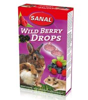 Sanal Knaagdier 3-Pack Drops Yogurt / Salad / Wild Berry 3X45 GR