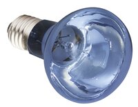 Komodo Neodymium Daglicht Lamp Es 75 WATT
