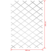 Tuinlatwerk 100x200 cm PVC wit 6040703