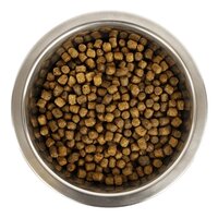 Yourdog Chien Fran&ccedil;ais Blanc Et Orange Pup 12 KG