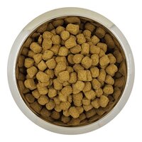 Yourdog Chien Fran&ccedil;ais Blanc Et Orange Senior 12 KG