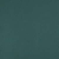 Vliesdoek voor planten 2 rollen 70 g/m&sup2; 10x1,6 m