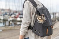 Trixie Be Nordic Hondentas Rugtas Bjorn Zwart 35X20X40 CM