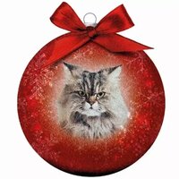 Plenty Gifts Kerstbal Frosted Norse Kat Ga Weg Rood 10 CM
