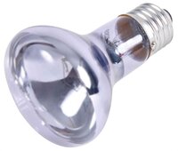 Trixie Reptiland Warmtelamp Neodymium 50 WATT 6,3X6,3X10 CM