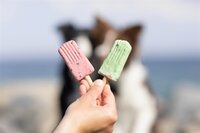 Trixie Ice Pop Groen 55 GR