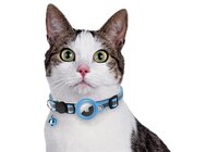 Croci Halsband Kat Met Tag Houder Lichtblauw 19-26X1,5 CM
