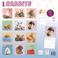 Merkloos Kalender Rabbits Studio 2025 30X30 CM