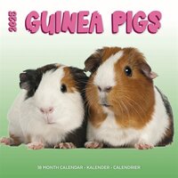 Merkloos Kalender Cavia&#039;s Studio 2025 30X30 CM