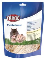 Trixie Meelwormen Gedroogd 6X70 GR