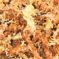 Trixie Reptiland Veenmos Tropisch Terrariumsubstraat Uitbreiding 4X45 LTR