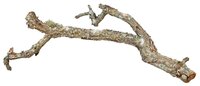 Trixie Reptiland Tronchos Kurktakken Mix 15X1 KG