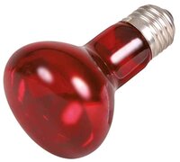 Trixie Reptiland Infrarood Warmtelamp 6,3X6,3X10 CM 35 WATT 3 ST