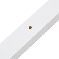 Kabelgoot 100x40 mm 10 m PVC
