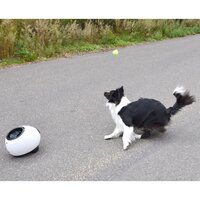 Balwerper met tennisballen Elton interactief 33x24x29 cm