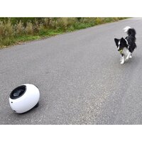 Balwerper met tennisballen Elton interactief 33x24x29 cm