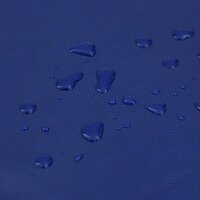 Dekzeil 650 g/m&sup2; 4x6 m blauw