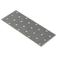 Platen geperforeerd 40 st 2 mm 160x60 mm gegalvaniseerd staal