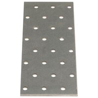 Platen geperforeerd 40 st 2 mm 160x60 mm gegalvaniseerd staal