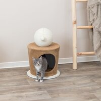 Kattengrot met krabbal 36x50 cm taupe