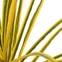 Kunstplant met pot dracaena 125 cm geel
