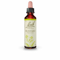 Bach Flower Essence Bach Mustard