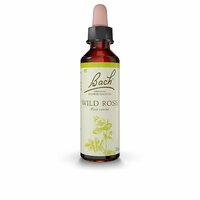 Bach Flower Essence Bach Wild Rose