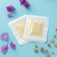 Innovagoods Detox-Patches Voor Voeten Ginger Innovagoods 10 Stuks