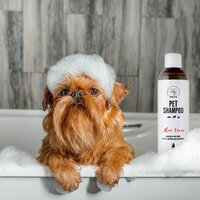 Pets Dierenshampoo Pets Alo&euml; Vera 250 Ml Kat