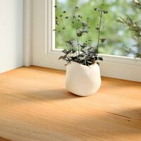Vensterbanken 2 st 80x30x2 cm massief eikenhout lichtbruin