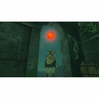 Nintendo Videogame Voor Switch Nintendo Tloz Tea Oftkin