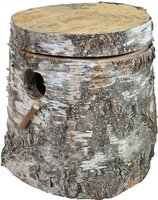 Merkloos Broedblok Berkenhout Parkiet 15X17X20 CM