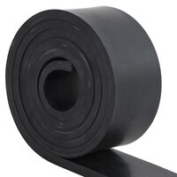 Rubberen rand voor sneeuwploeg 300x10x1 cm zwart