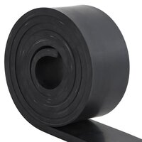 Rubberen rand voor sneeuwploeg 250x10x1 cm zwart