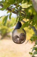Trixie Voerdispenser Voor Mezenbollen / Pindas Zwart 29X14X14 CM