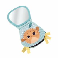 Fisher Price 2In1 Schommelende Otter Knuffel