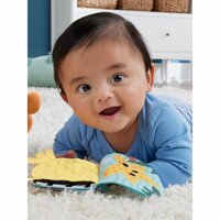 Fisher Price 2In1 Schommelende Otter Knuffel