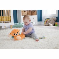 Fisher Price 2In1 Schommelende Otter Knuffel