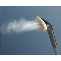 Philips Ste3170/80 3000 Series Stand Steamer Zwart/Goud