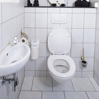 Hg Eco Toiletreiniger 500 Ml